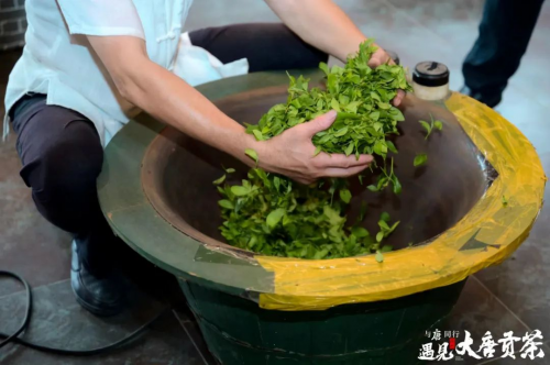 品读茶香古韵，畅享美好生活！当大唐财富遇见大唐贡茶